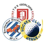 team logo