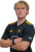 Vincent Julius Scholz